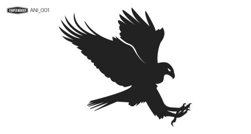 Àliga cuabarrada